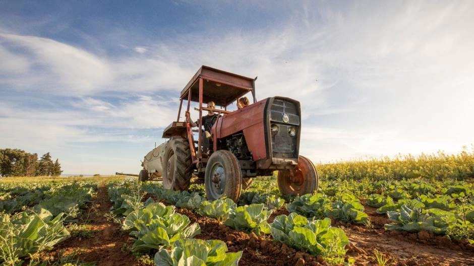 EU investirala 10 milijuna KM u poljoprivredni sektor BiH